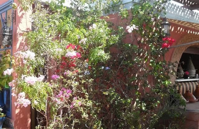 Riad Le Mazagao - El Jadida - +212 5233-50137