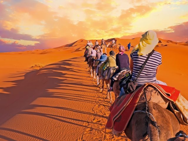 Fès City Travel - Fès - +212 674-702078