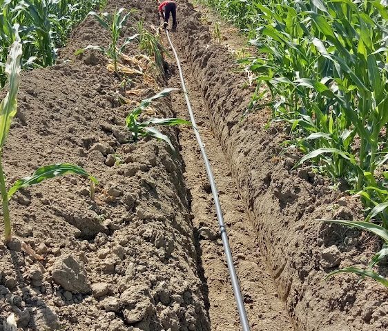Ste Dradiv systemes d'irrigation - Mechra Bel Ksiri - +212 661-519489