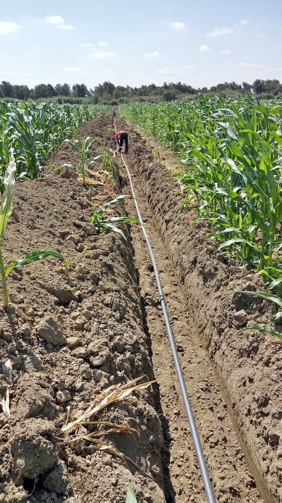 Ste Dradiv systemes d'irrigation - Mechra Bel Ksiri