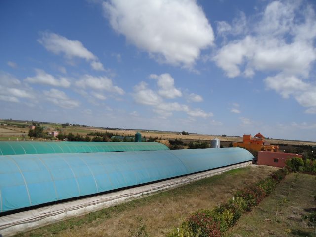 Ferme Mekka - Bouznika -