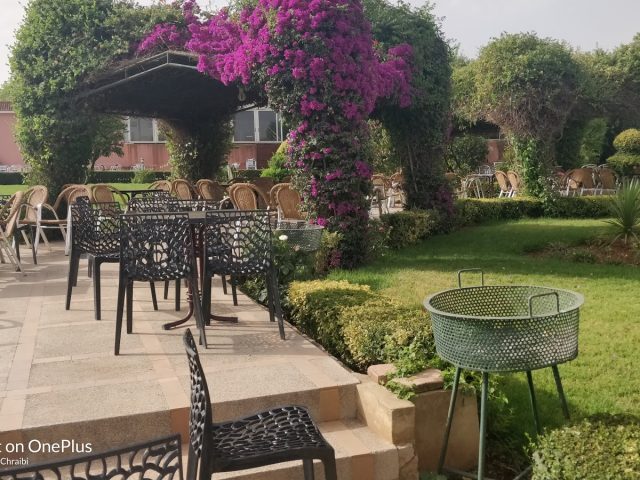 café les orangers - Meknès - +212 657-276683