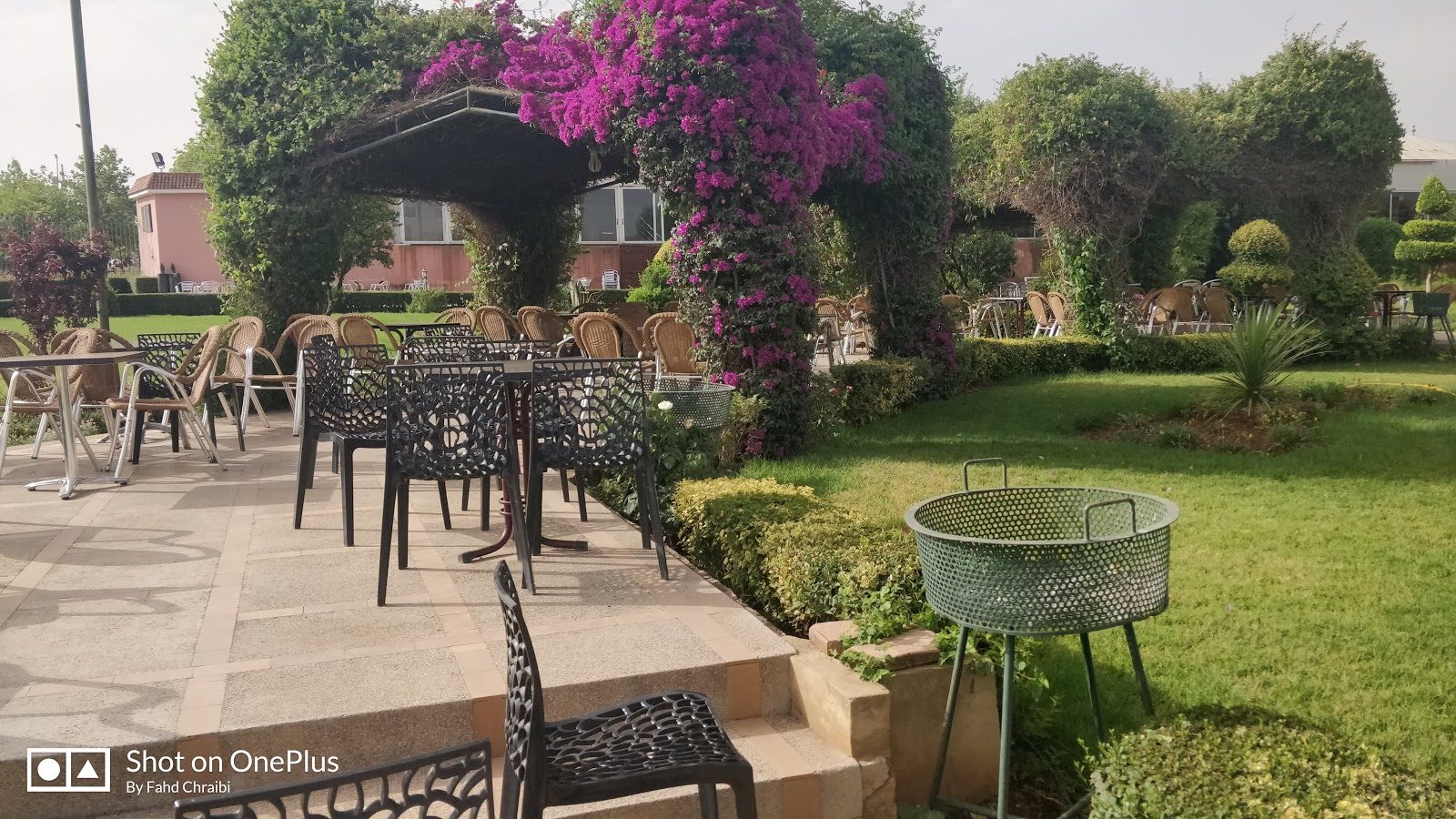 café les orangers - Meknès