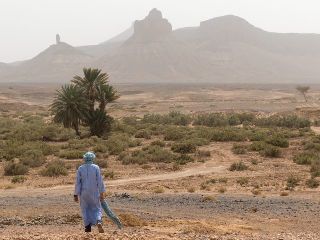 Wild Morocco - Zagora - +212 679-006221