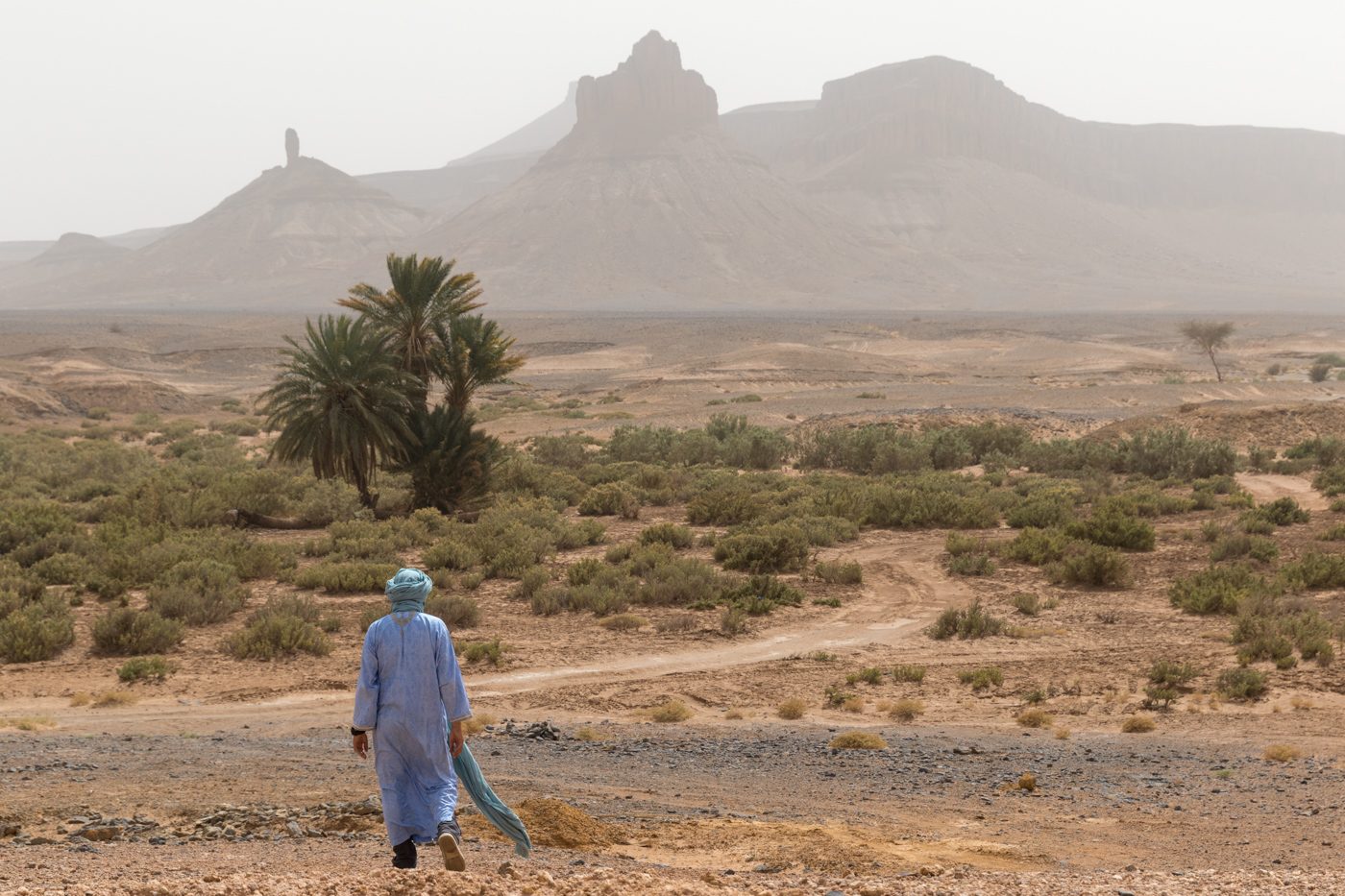 Wild Morocco - Zagora
