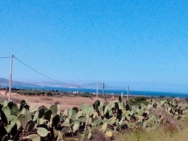 Café Maradona - Nador -