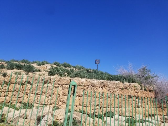 Bazina du Gour - Souk El Gour -