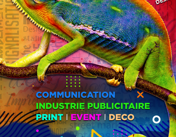 KAMELEON CORPORATE - El Jadida - +212 5233-93469