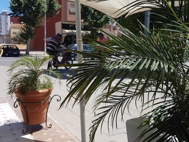 Café Cesar - Khémisset -