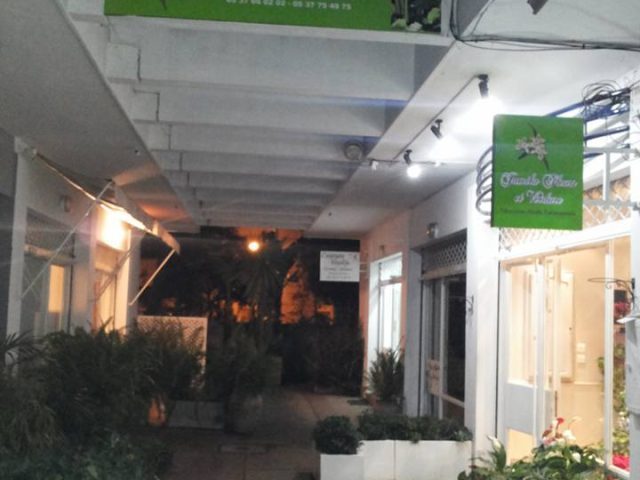Jamila Fleurs & Verdure S.A.R.L. S.A.R.L - Rabat - +212 661-353607