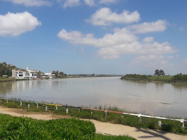 iliana - Kénitra -