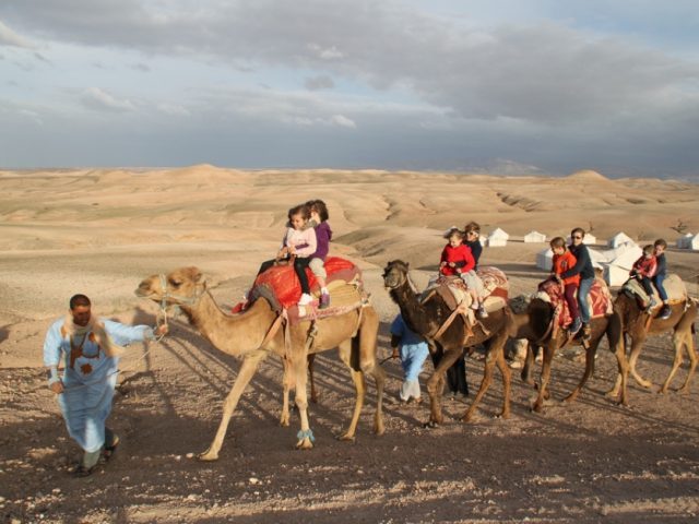 Travel Events And Logistics Morocco - Marrakech - +212 643-686541