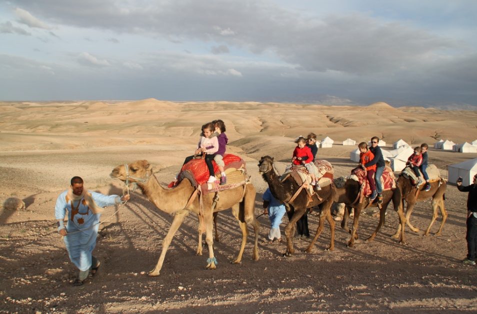 Travel Events And Logistics Morocco - Marrakech