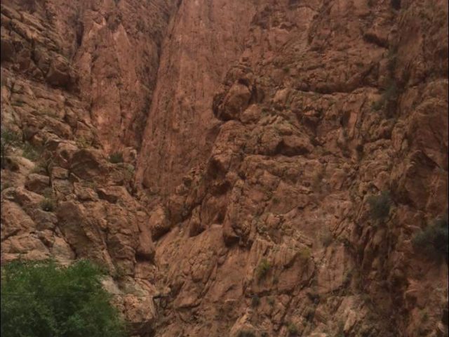 Les gorges de toudgha - Tinghir -