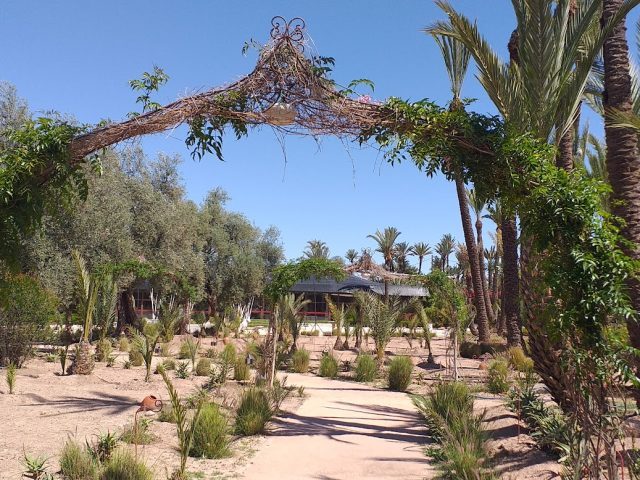 Palmeraie Sultan - Marrakech - +33 6 10 60 14 40