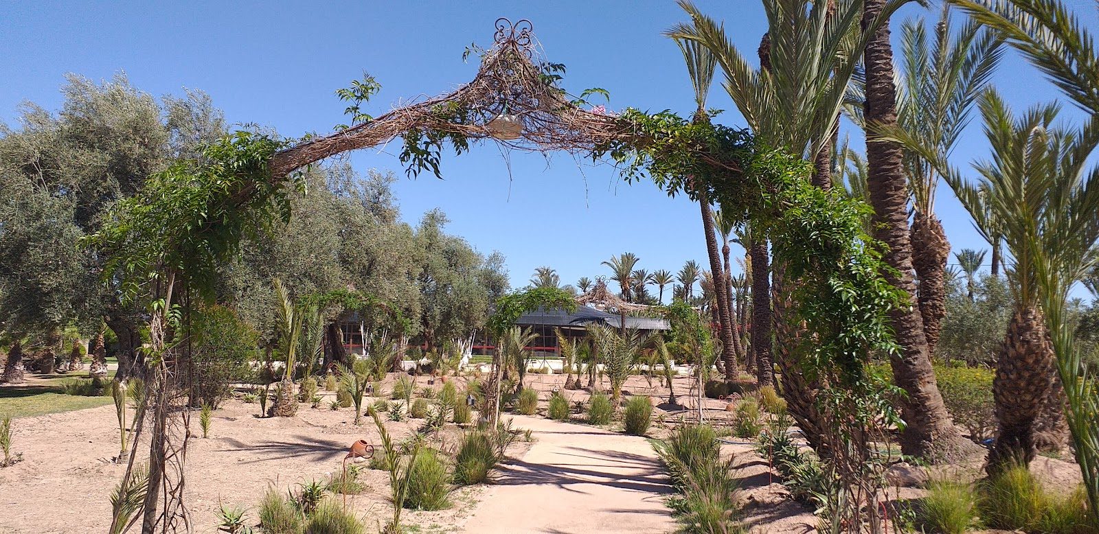 Palmeraie Sultan - Marrakech