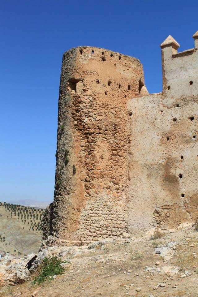 Hôtel Amine - Tazaa