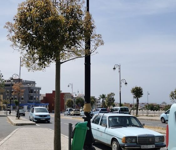 Assilah Taxi Station - Asilah -