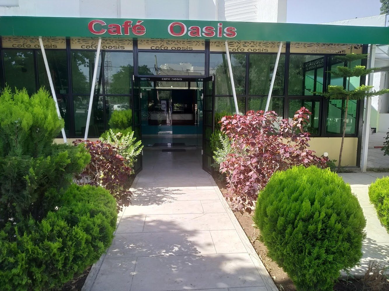 Café Oasis - Tazaa