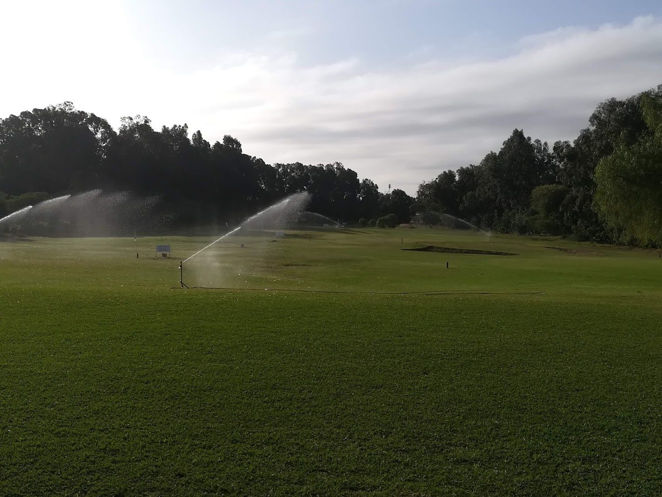 Royal Golf -