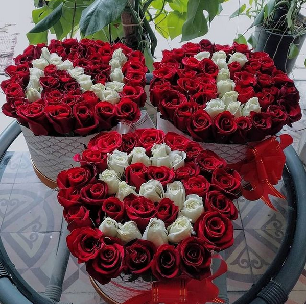 roses du maroc - Casablanca