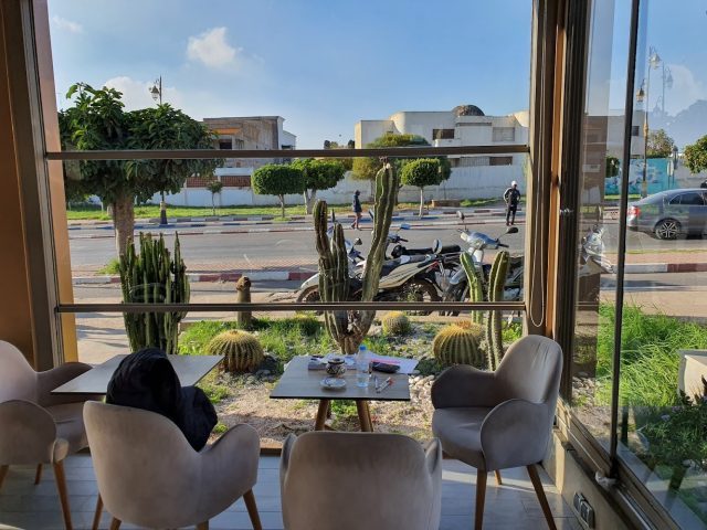ZENZOO coffee - Safi -