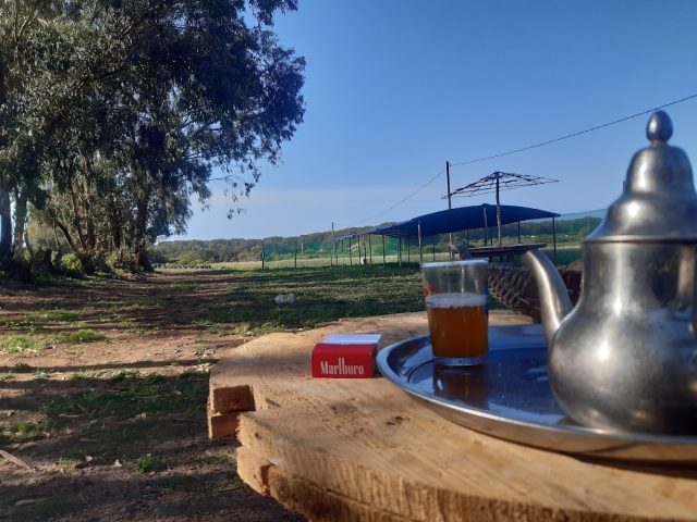 Barista el haouzia -  -