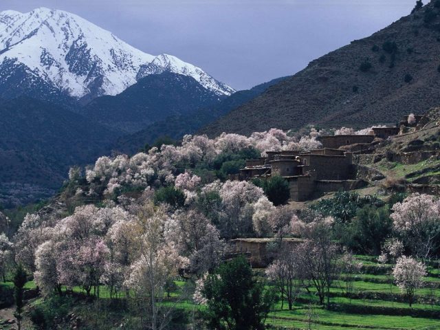 Morocco Off the Beaten Track, LLC -  - +1 206-752-3233