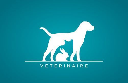 Clinique vétérinaire chaouia - Settat - +212 661-209835