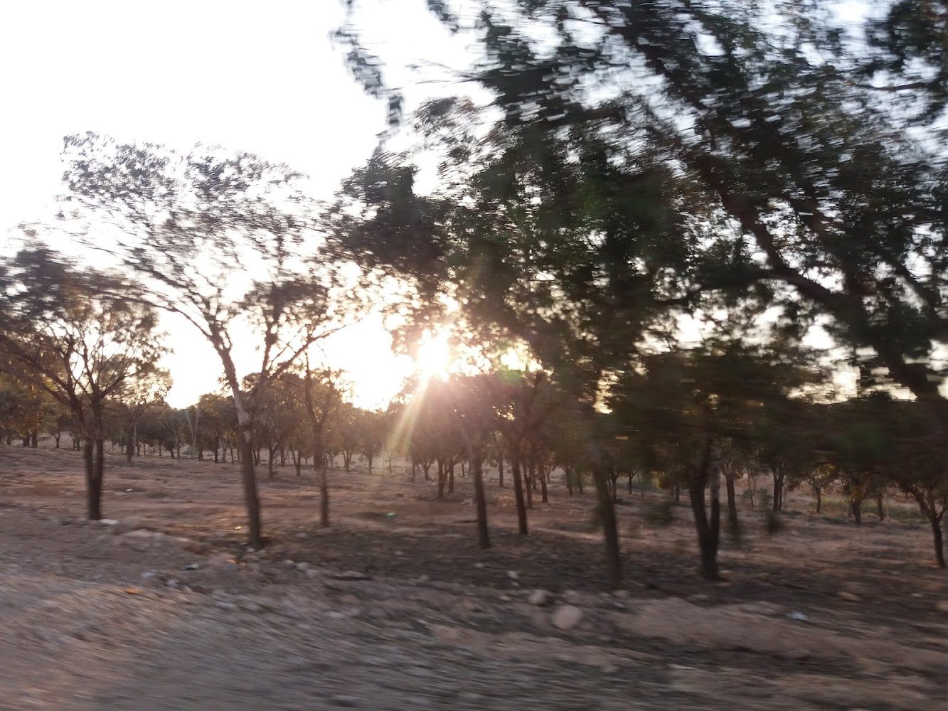 متجر احميدة - El Aioun