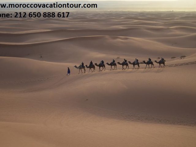 Morocco Vacation Tour - Fès - +212 650-888617