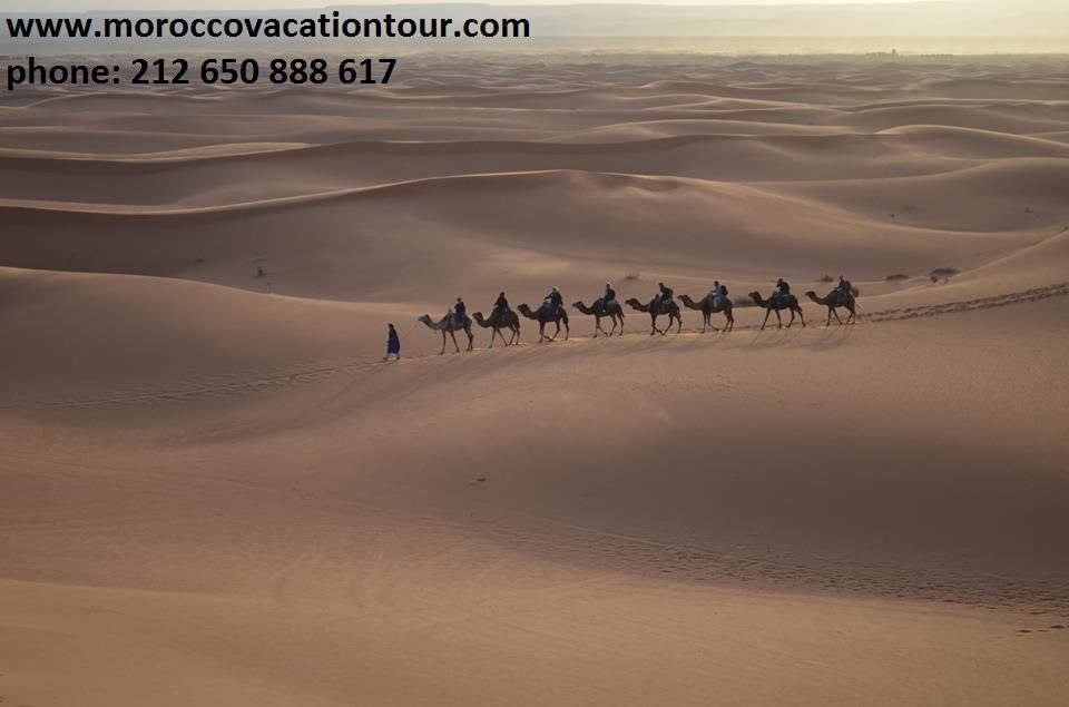 Morocco Vacation Tour - Fès