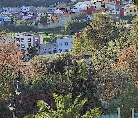 Hôtel Granada - Ouazzane - +212 661-040775