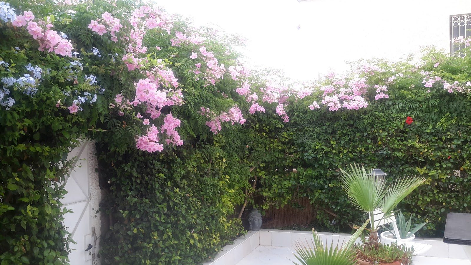Café Classico - Agadir