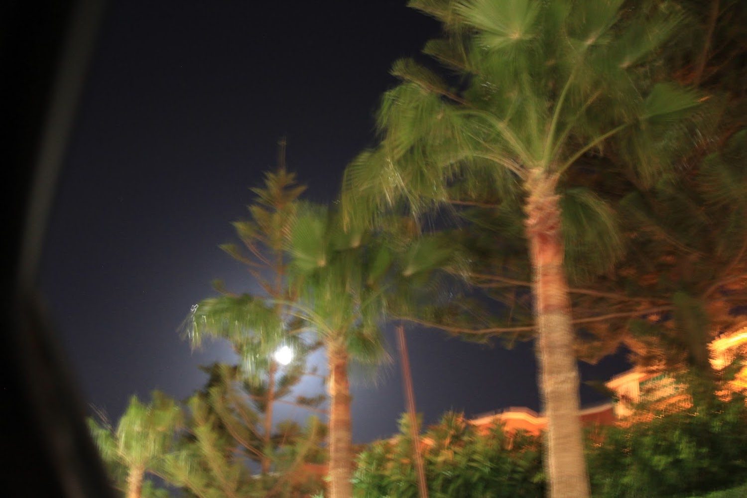 مقهى منصورة - Berkane