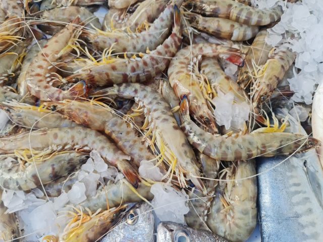 Restaurant Marchica - Nador -