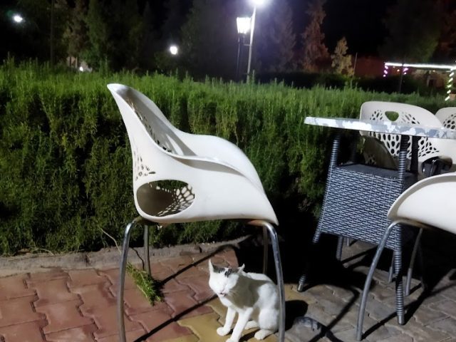 Cafe 5 Etoiles - Ouarzazate -