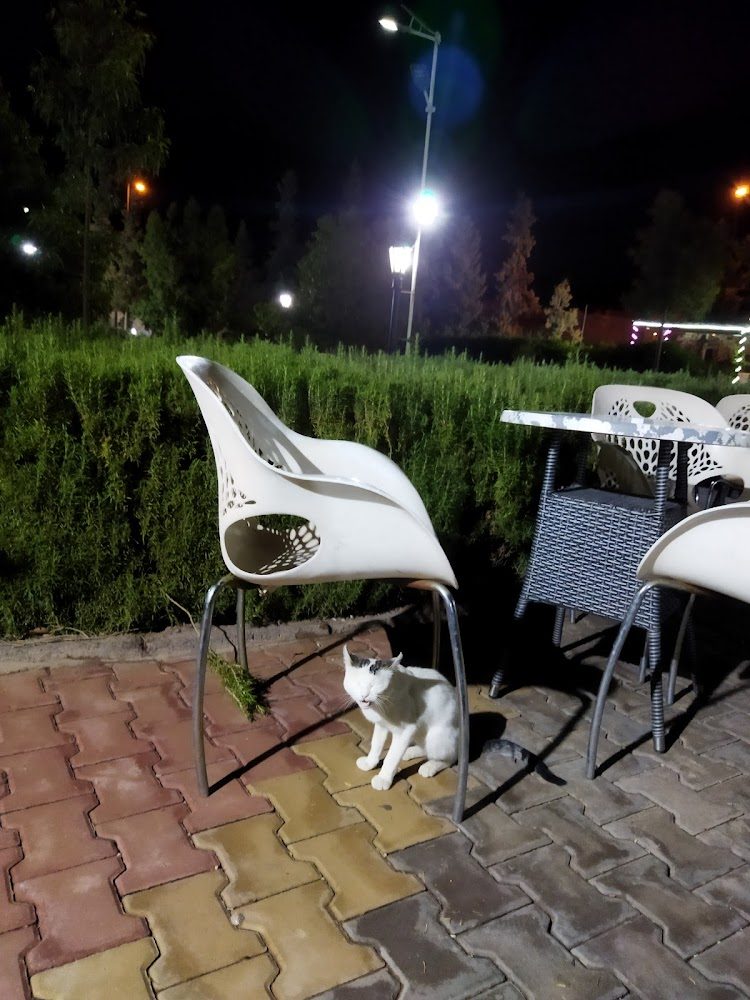 Cafe 5 Etoiles - Ouarzazate