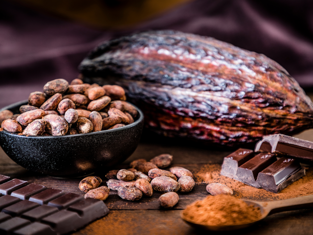 Shop Salon du Chocolat -  - +33 1 56 91 11 02