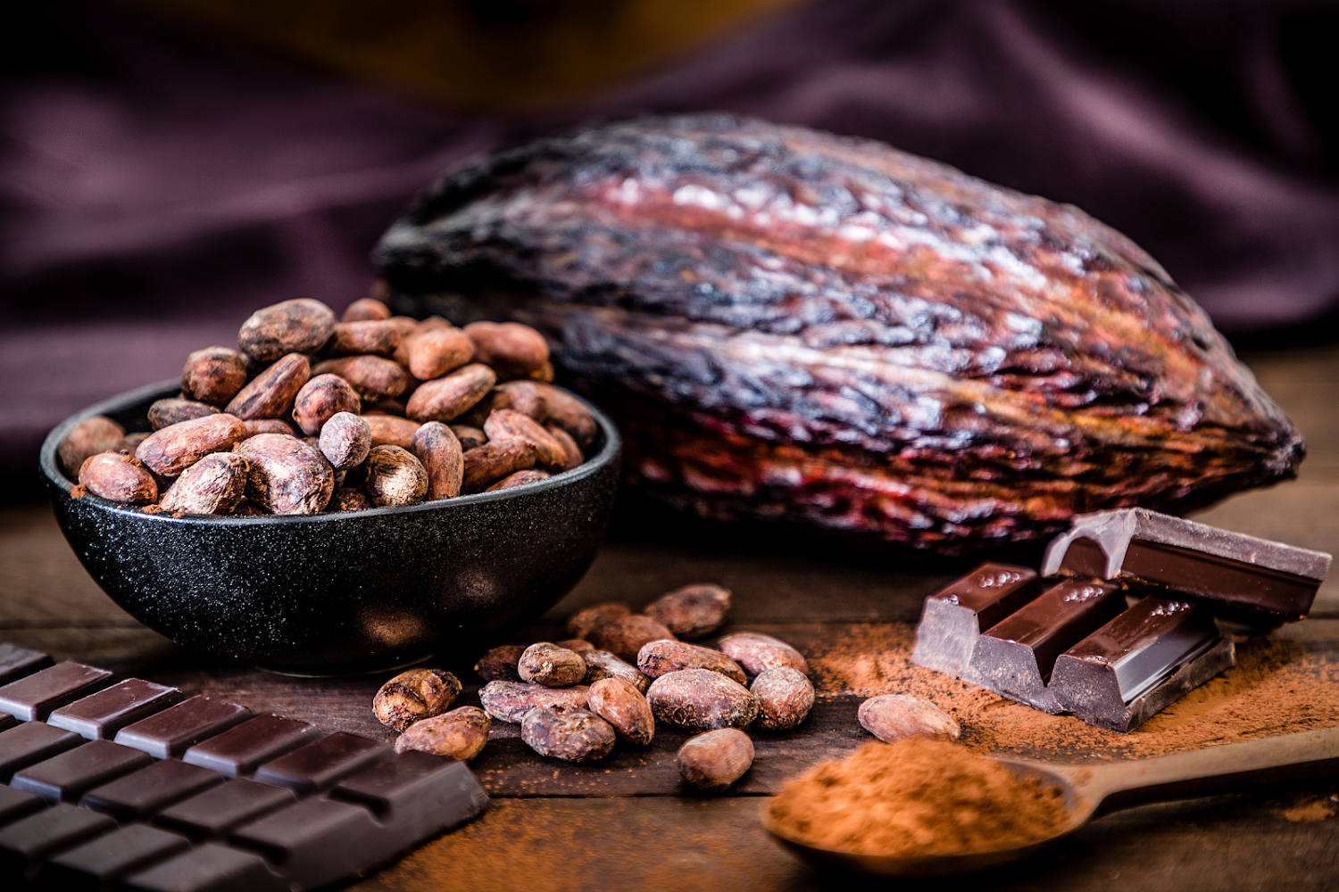 Shop Salon du Chocolat -