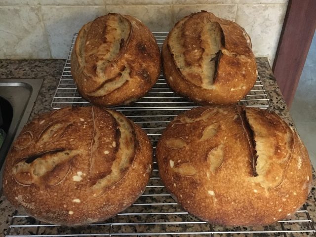 La maison du levain - Mohammédia - +212 662-092758