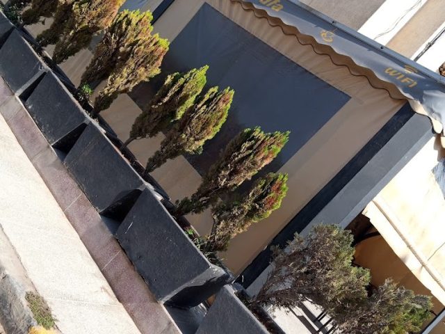 café alghadfa - Tamesna -