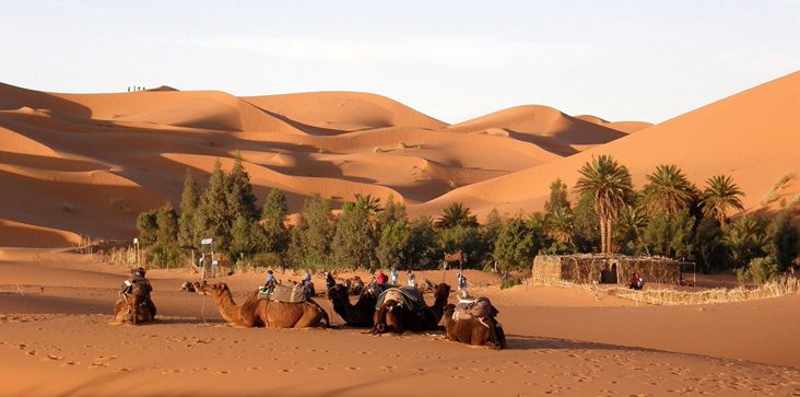 Fes Desert Tours - Fès