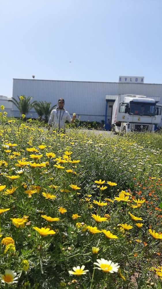 Usine Textile Settavex S.A. - Settat