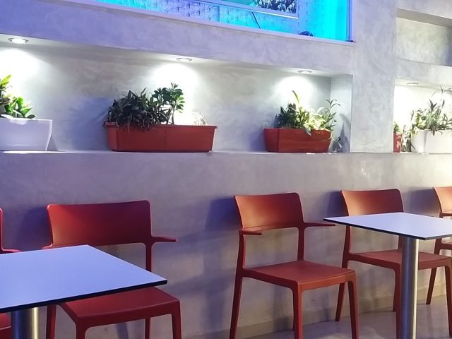 Café 44 - Oulad Teima - +212 641-832099