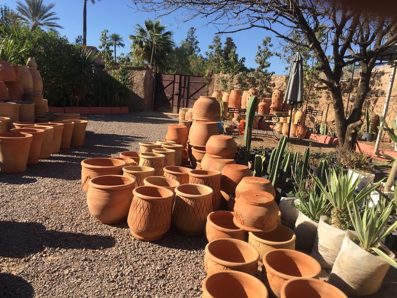 Pépinière ennakhil - Marrakech