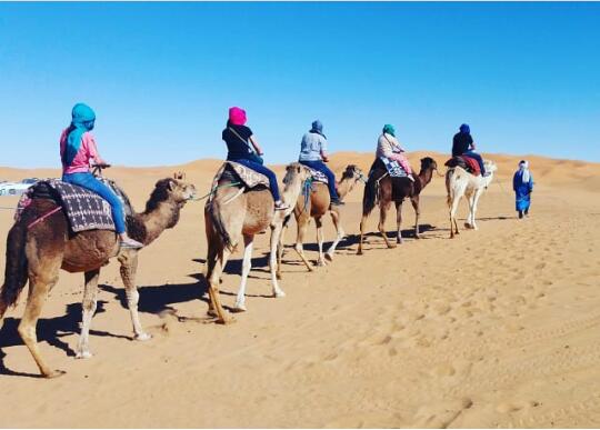 Morocco Activities - Fès - +212 666-486172