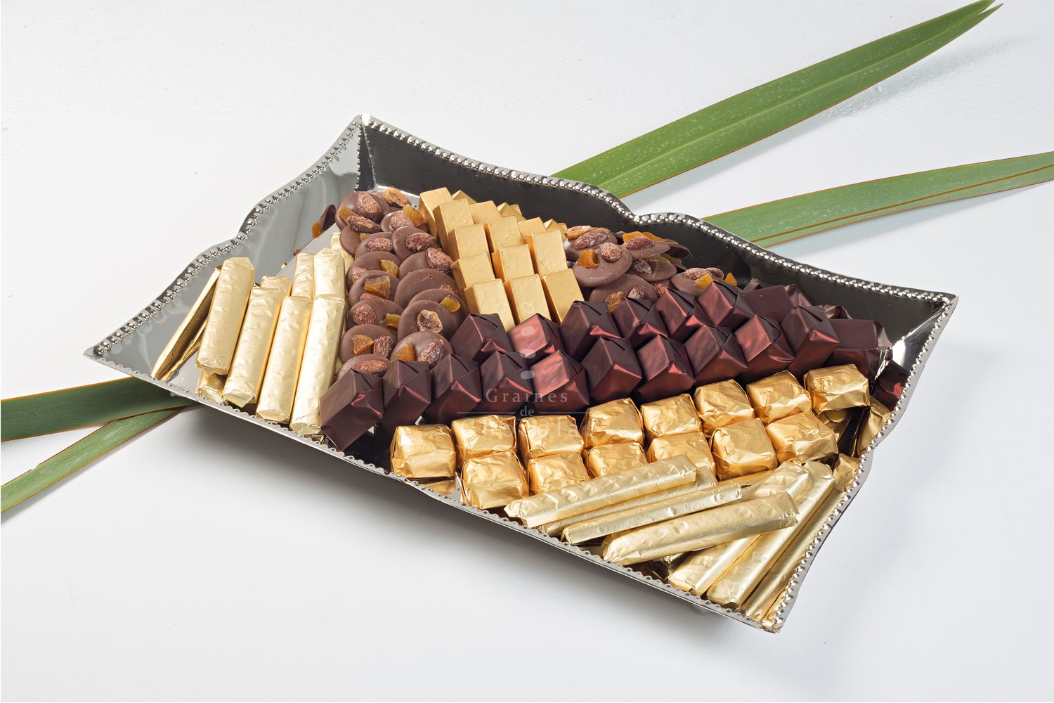 Graines de Chocolat - Rabat