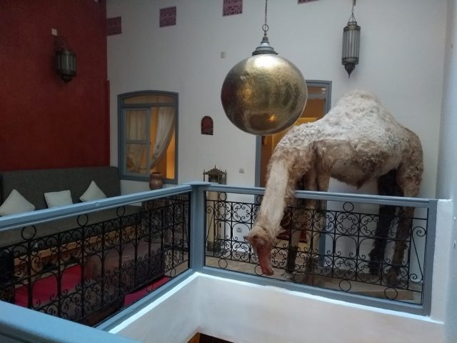 Le Ryad Des Nomades - Essaouira - +33 6 60 32 06 65