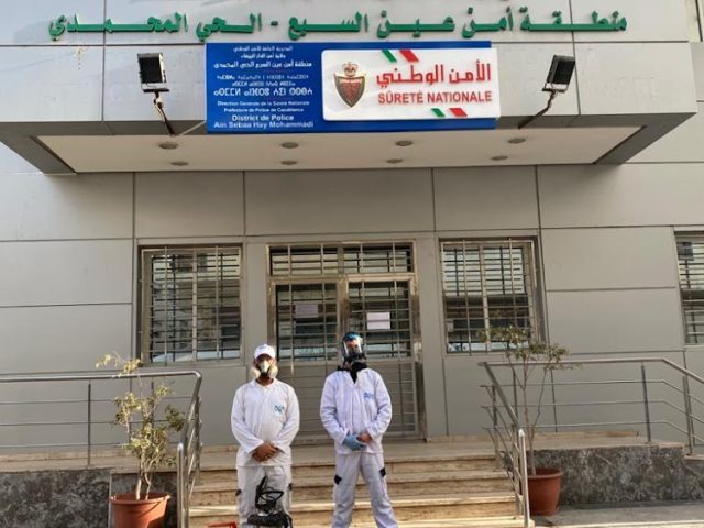 Dératisation | services SBS BELAKHDIM - Casablanca - +212 5226-64776